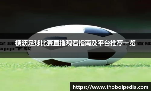 横沥足球比赛直播观看指南及平台推荐一览